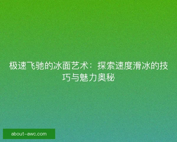 极速飞驰的冰面艺术：探索速度滑冰的技巧与魅力奥秘