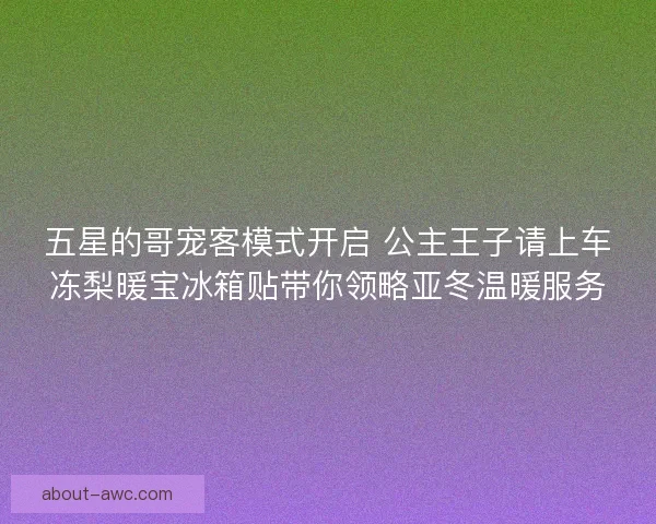 五星的哥宠客模式开启 公主王子请上车冻梨暖宝冰箱贴带你领略亚冬温暖服务