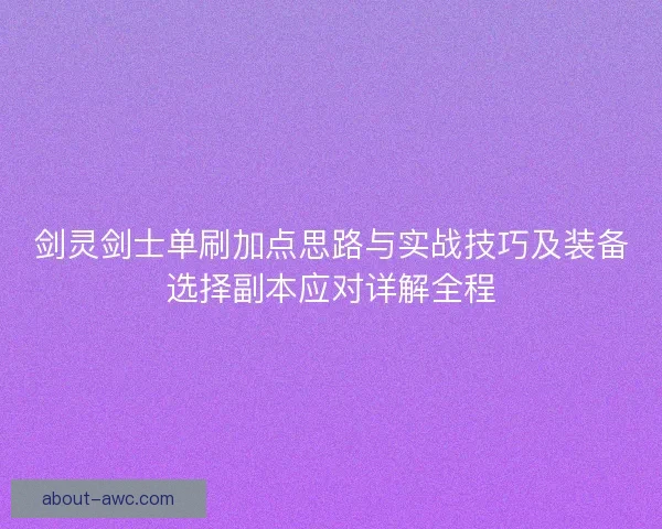 剑灵剑士单刷加点思路与实战技巧及装备选择副本应对详解全程