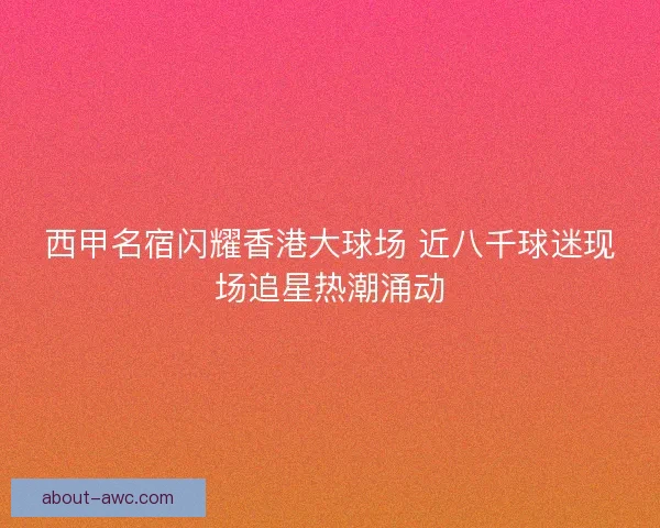 西甲名宿闪耀香港大球场 近八千球迷现场追星热潮涌动