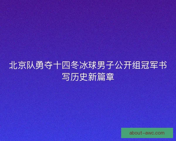 北京队勇夺十四冬冰球男子公开组冠军书写历史新篇章