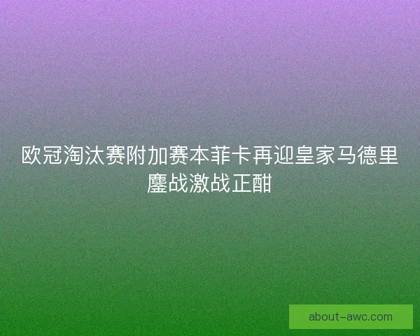 欧冠淘汰赛附加赛本菲卡再迎皇家马德里鏖战激战正酣