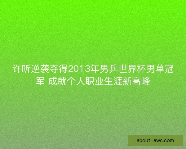 许昕逆袭夺得2013年男乒世界杯男单冠军 成就个人职业生涯新高峰