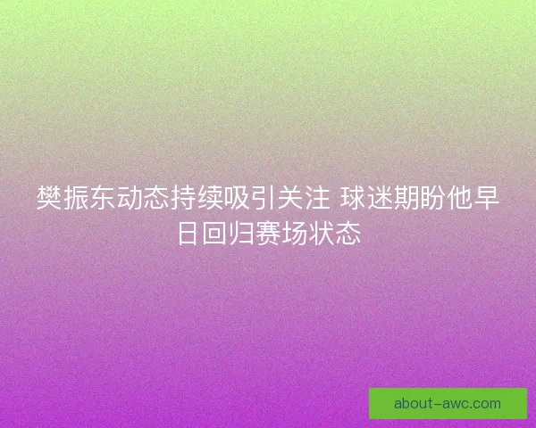 樊振东动态持续吸引关注 球迷期盼他早日回归赛场状态