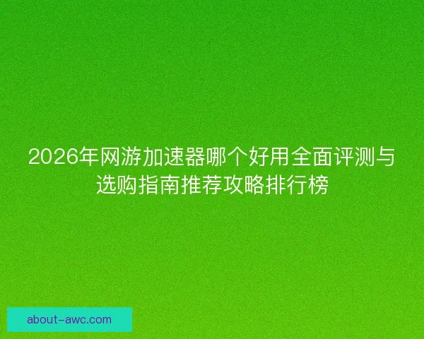 2026年网游加速器哪个好用全面评测与选购指南推荐攻略排行榜